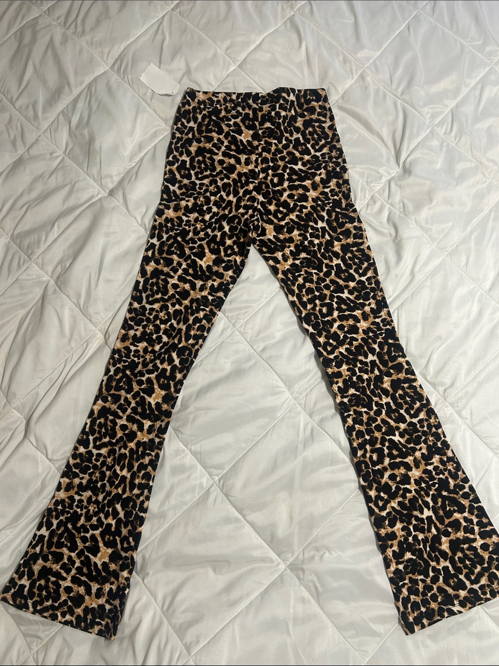 Topshop Leopard Print Bootcut Pants - Black & Tan